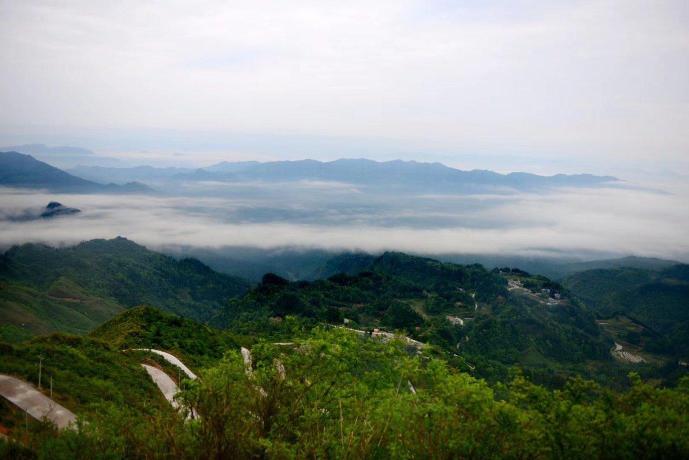 山西省宁武县阳方口镇南庄村矸石场;露天肆意堆放煤矸石污染生态环境